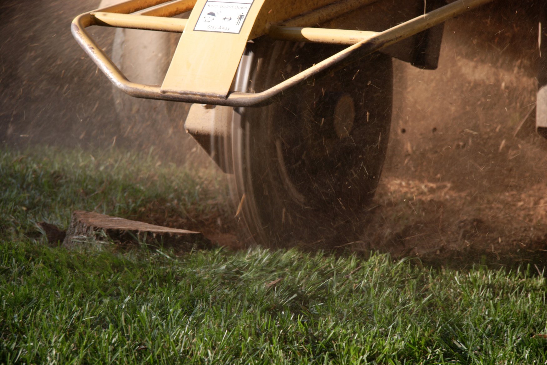 stump grinder (tree removal series)